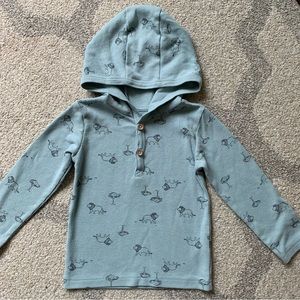 Carters Lion Waffle Henley Hoodie